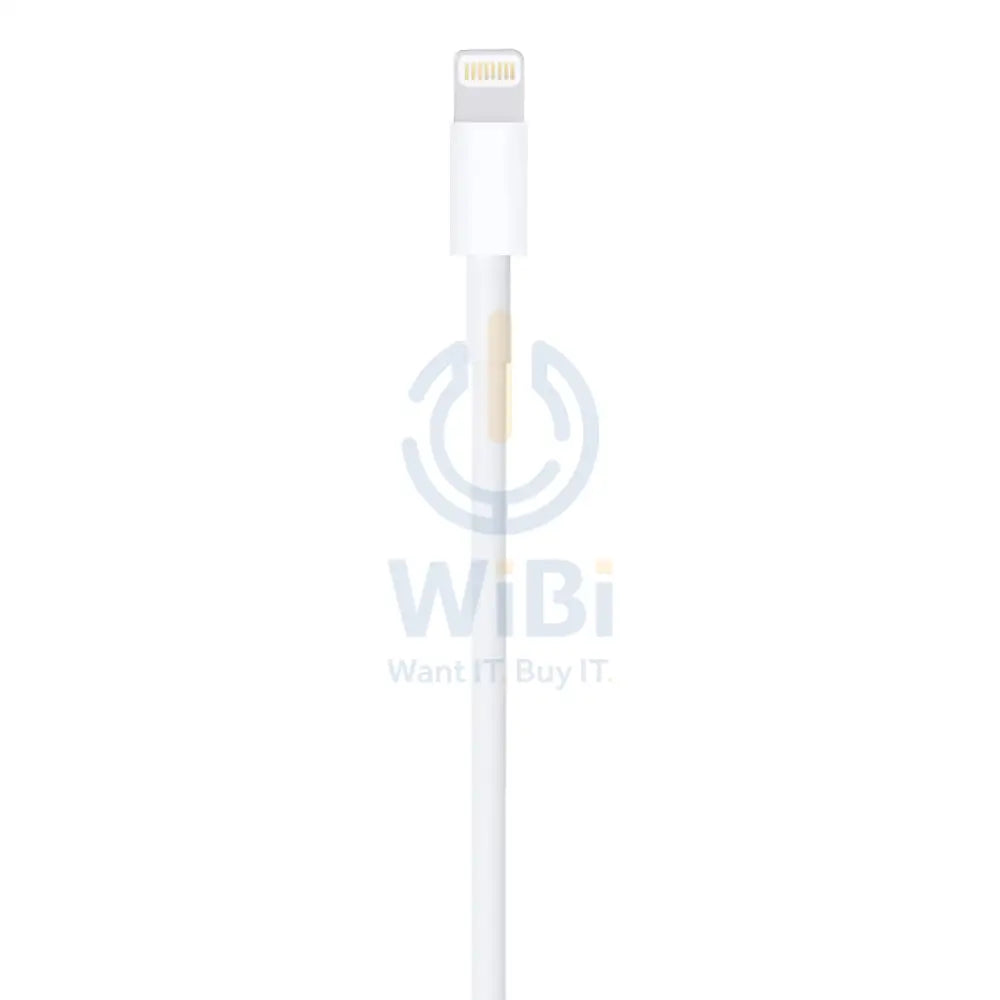 Apple Lightning to USB Cable 0.5 Meter / White Accessories > Cables & Converters > Cables