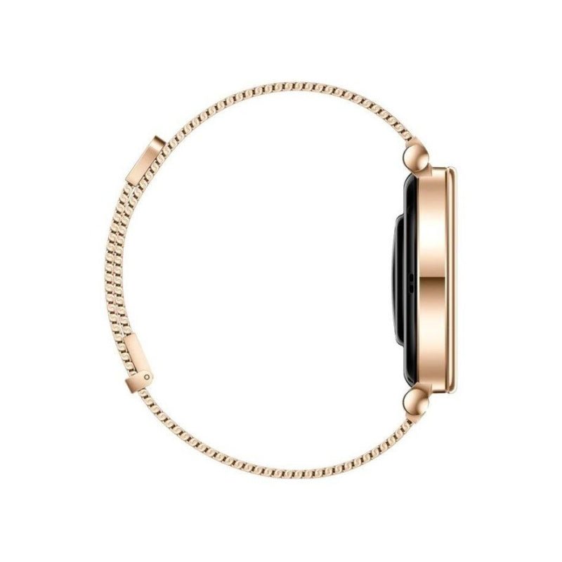 Huawei Watch GT4 41mm Stainless-Steel Body - Gold Smart Watches > Offer Zone