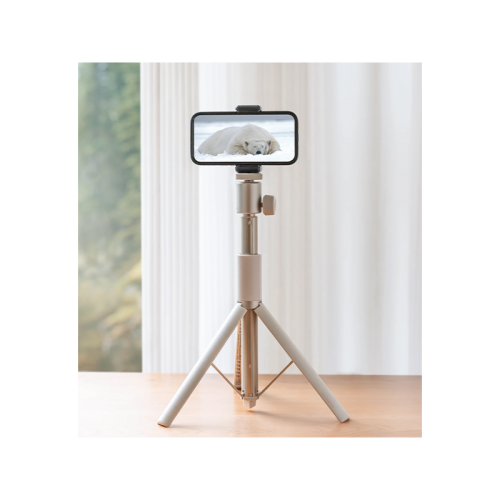XGIMI Light Gold Portable Stand - Gold