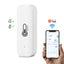 Gopeta Tuya Smart Wi-Fi Temperature and Humidity Sensor - White