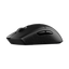 CORSAIR M55 WIRELESS Gaming Mouse (AP)