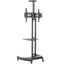 Wansa TV Cart with Camera, Fits 32 - 75 inches, 70kg Loading Capacity, T639
