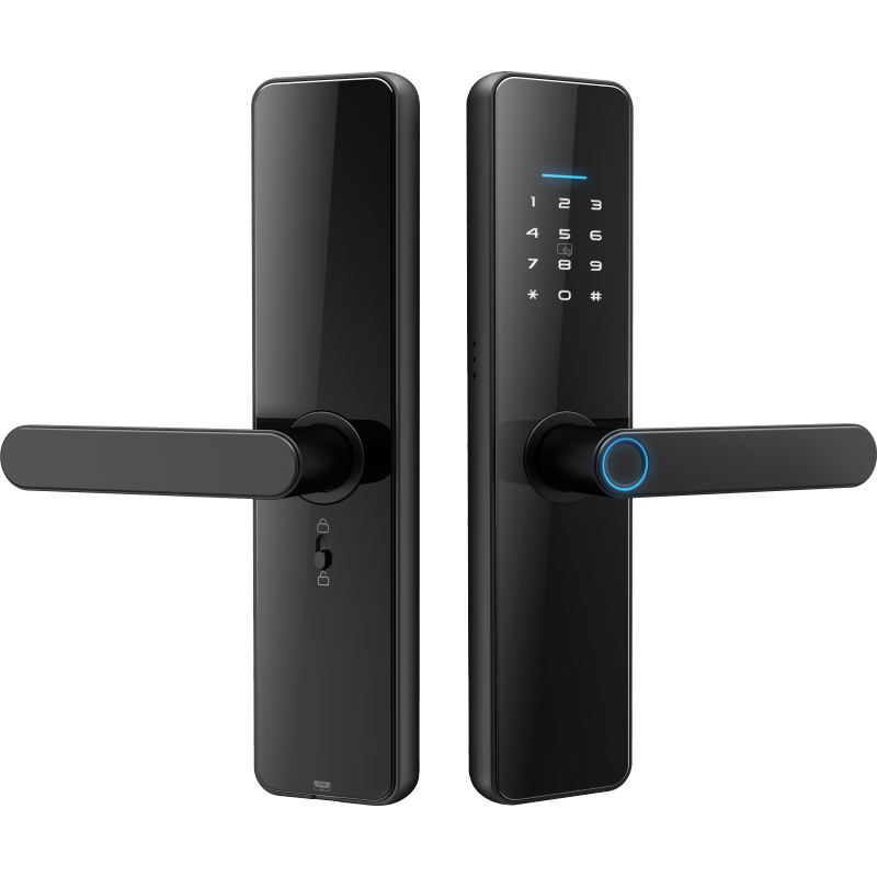 Gopeta High-Quality Smart TTlock for the wooden doors C91 Pro - Black