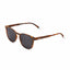 Barner Dalston Sunglasses - Tortoise