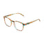 Barner Dalston Screenglass - Light Tortoise