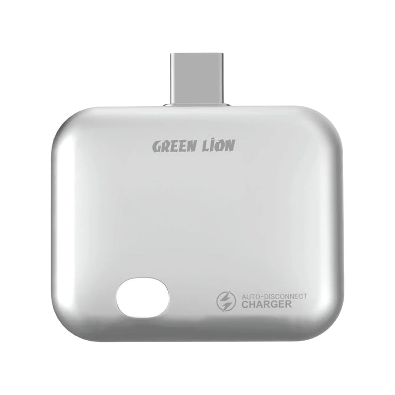 Green Lion Auto-Disconnect Smart Charger - Gray