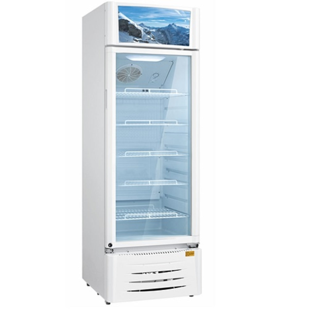 Midea Showcase Chiller 411 Liters 14.5 CFT, White - HS-411S