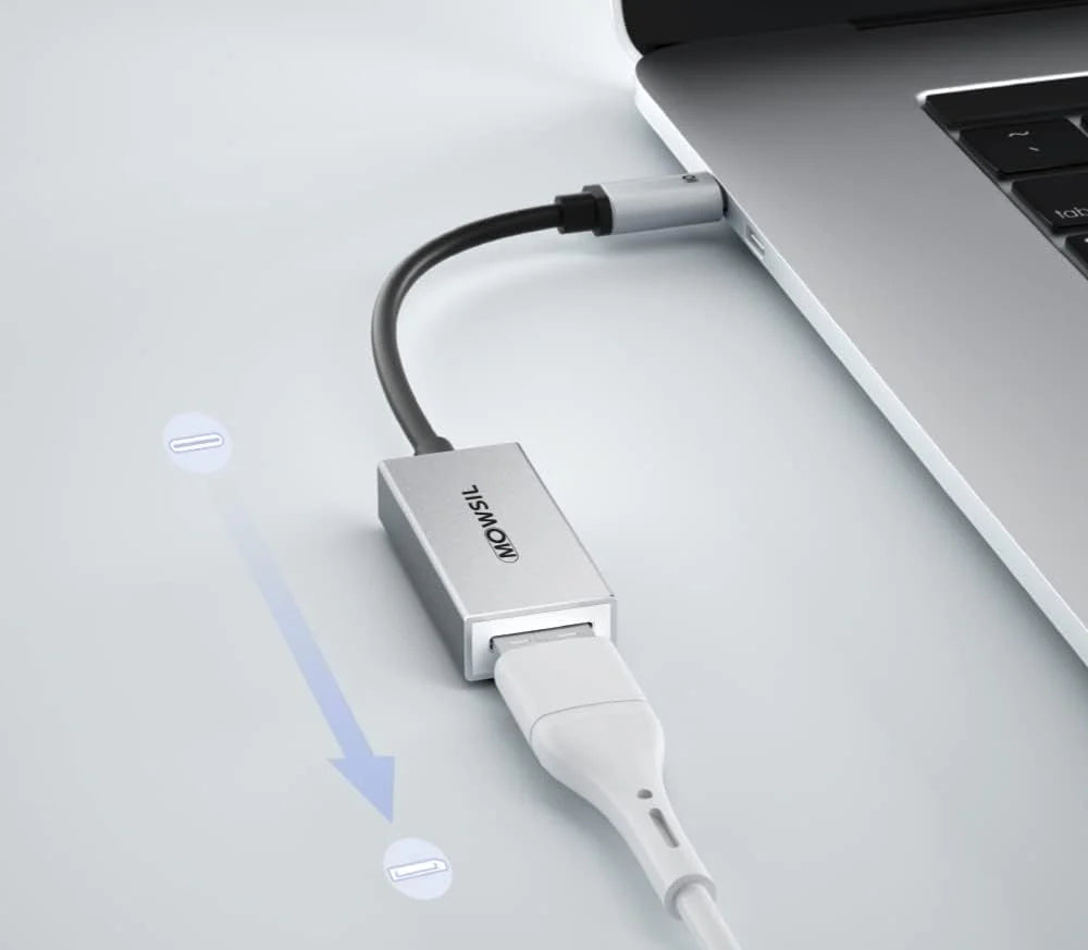 Mowsil USB-C to DisplayPort Adapter - Silver