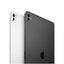 Apple iPad Pro M5 (2025) / 11" / 2TB / Wi-Fi + Cellular / SILVER / Nano-Texture Glass