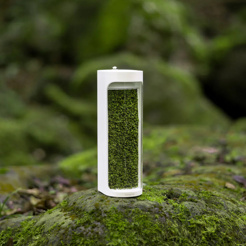 Moss Air Living Moss Humidifier With Filter - 40ml/hr / 320ml / White