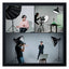 NEEWER 65cm Parabolic SoftBox