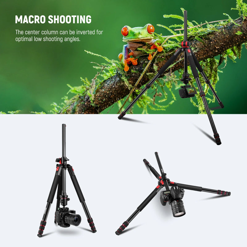 NEEWER N284L+G0 Camera Tripod Monopod - Black