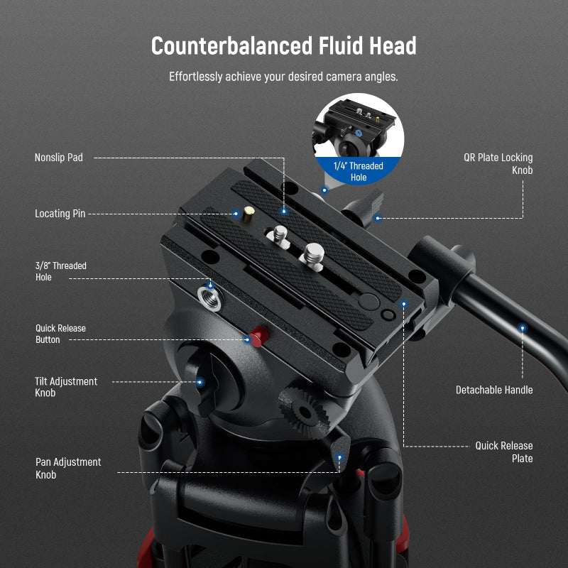 NEEWER BASICS TP37 74" Video Tripod with Fluid Head - Black