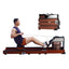 KingSmith WM10 Tri-Fold Water Rowing Machine - Walnut
