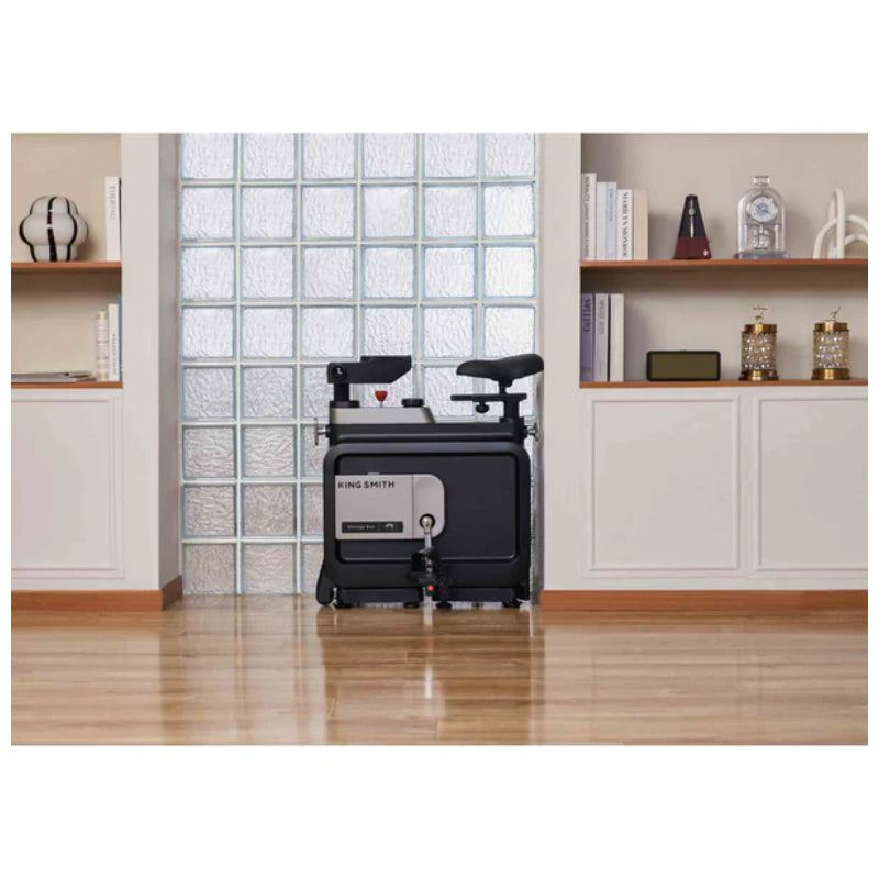 King Smith Foldable Workstation Bike