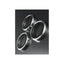BodyGuardz Apex Individual Camera Lens Protector for Apple iPhone 16 Pro & 16 Pro Max - Silver