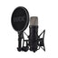 RODE NT1 5th Generation USB-C Studio Condenser Gaming and Streaming Microphone - Black