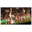 EA SPORTS FC 27 Standard Edition For Nintendo Switch (EU) - Arabic Version