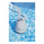 Bestway pool+ drain pump (contents:1 drain pump, 1pc 5-metre drain hose, 1 set of adaptors.220-240v 80w, ipx8)