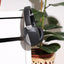 MAESTRO Elite Wireless Headphone - Bluetooth / Black