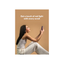 BodyGuardz Red Light Converter Privacy Glass Screen Protector for Apple iPhone 17