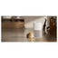 Xiaomi Mijia Smart Pet Care Air Purifier - 230m³/h / White