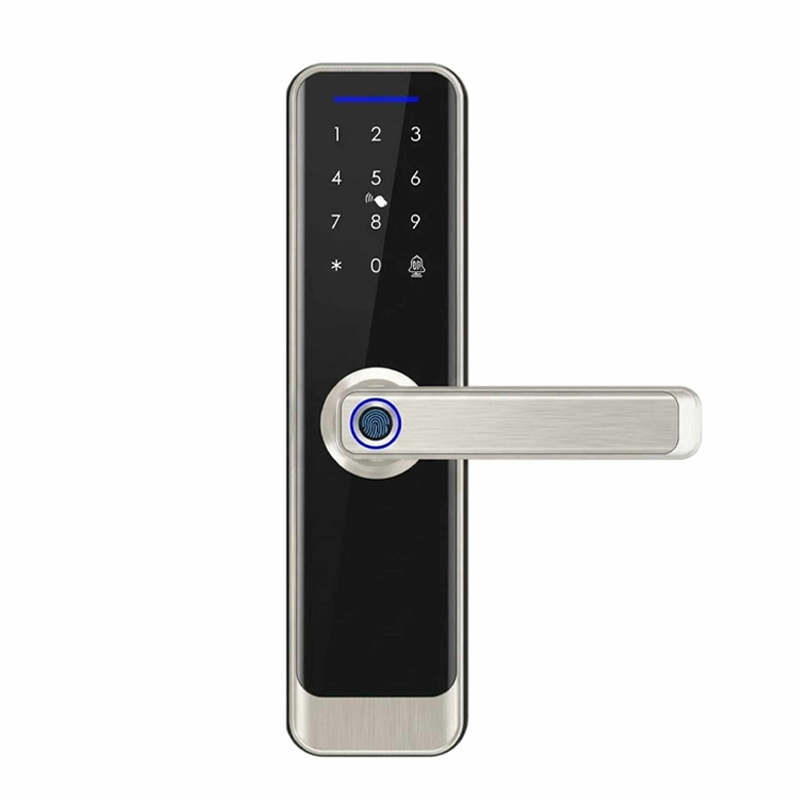 Gopeta Smart TTlock for the wooden doors A270-GP - Silver/Black