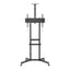 Union TV Cart with Camera Shelf 37"-70"