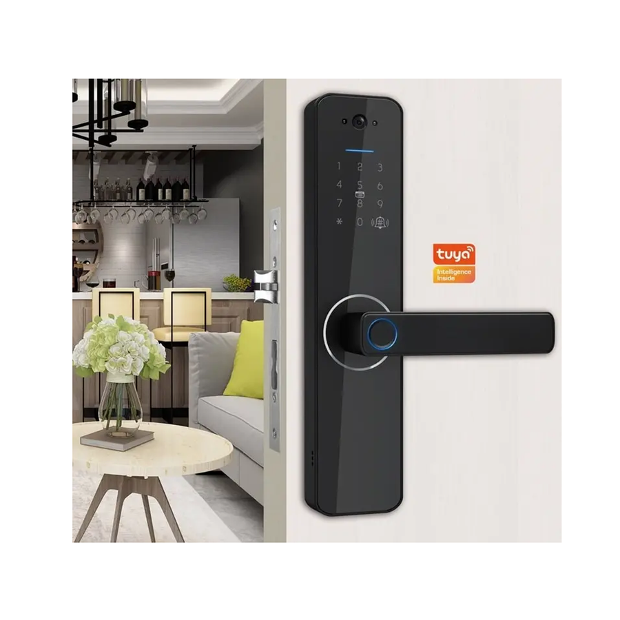 Gopeta C13Pro Wi-Fi Lock With Camera & Screen for Wooden Door - Black