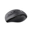 Logitech M705 Marathon Wireless Mouse - 2.4 GHz / 1000 DPI / Black