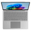 Microsoft Surface Laptop 13 - 13" Touch / X Plus (8 Core) / 24GB / 1TB SSD / Win 11 Pro / Platinum