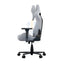 AndaSeat Kaiser Frontier Gaming Chair - XL / Grey Accessories > Chairs > Gaming Zone