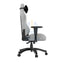 AndaSeat Phantom 3 Gaming Chair - Large / Grey Accessories > Chairs > Gaming Zone