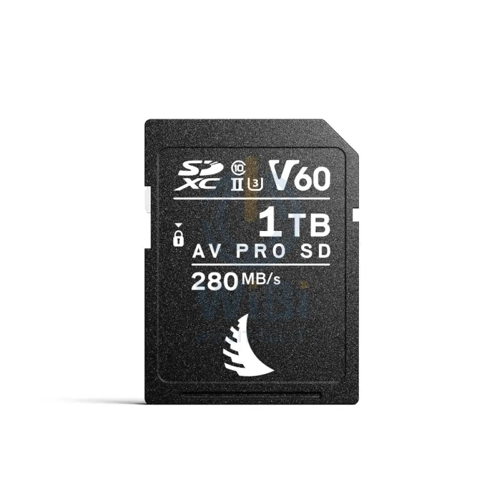 ANGELBIRD AVP1T0SDMK2V60 - 1TB AV Pro MK2 UHS-II SDXC Memory Card Storage > Memory Cards