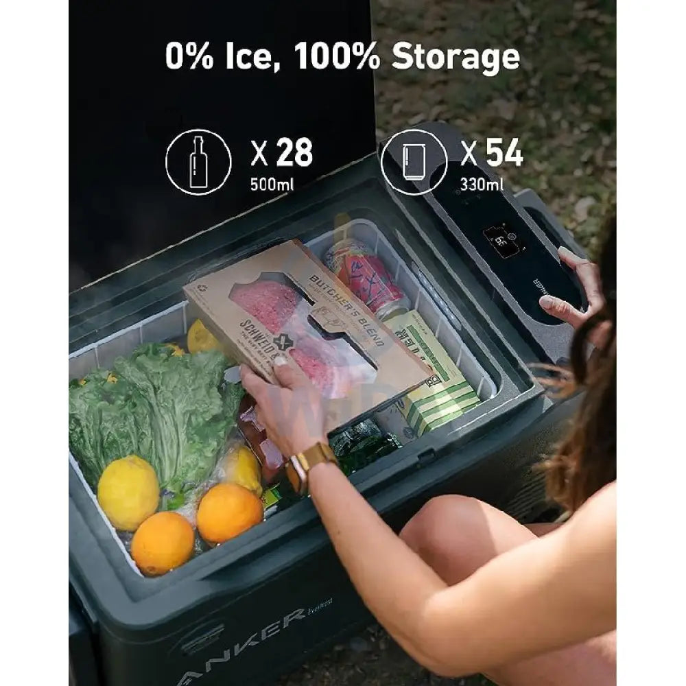 Anker EverFrost Powered Cooler 30 Power Station - 299Wh / Black Accessories > Power Bank