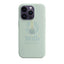 Apple iPhone MagSafe Silicone Case - iPhone 14 Pro Max / Succulent Accessories > Mobiles & Tablets