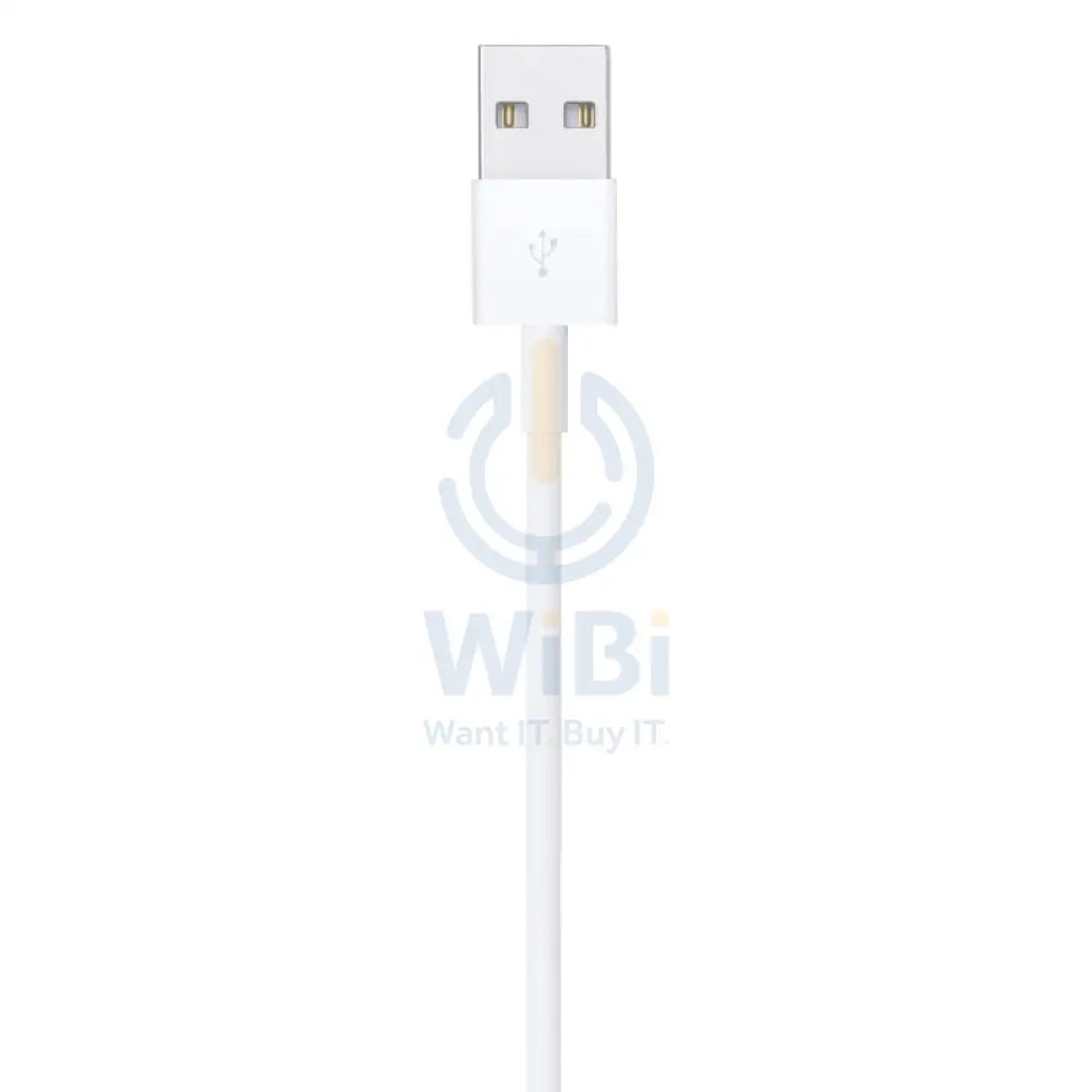 Apple Lightning to USB Cable 0.5 Meter / White Accessories > Cables & Converters > Cables