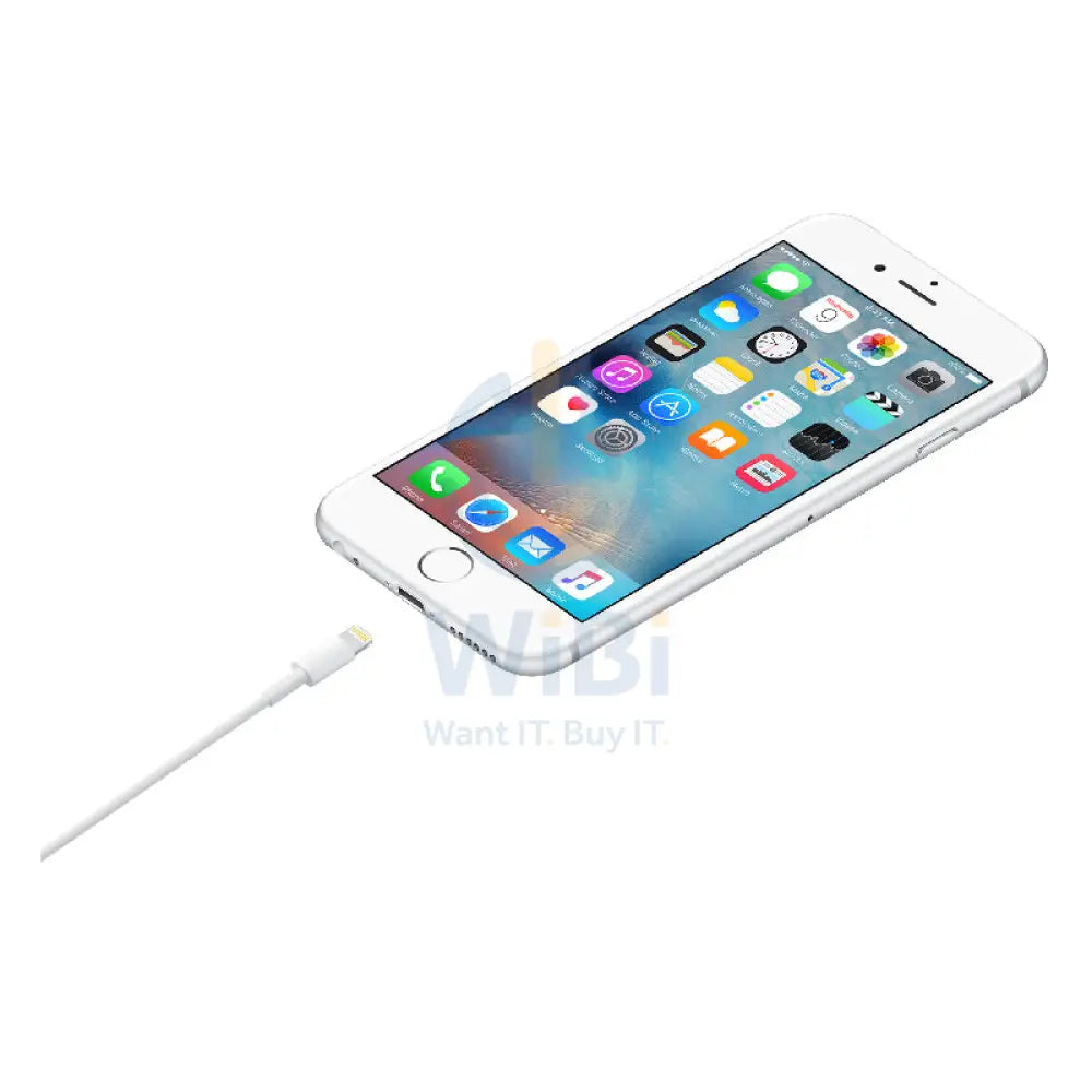 Apple Lightning to USB Cable 0.5 Meter / White Accessories > Cables & Converters > Cables