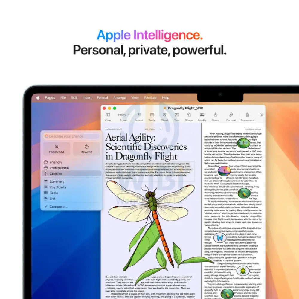 Apple MacBook Air - 13.6’’ / M4 / 10-Core CPU / 10-Core GPU / 16-Core Neural Engine / 24GB RAM / 512GB SSD / Starlight
