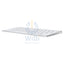 Apple Magic Keyboard with Touch ID - Bluetooth / Arb/Eng / White Accessories > Keyboard & Mouse