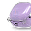 Araree Nukin Hard PC Case - Samsung Galaxy Buds Pro / Clear Accessories > Mobiles & Tablets