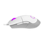 COOLER MASTER MM310 Wired Gaming Mouse - White