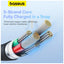 Baseus Pudding Series Fast Charging Type-C to Lightning Cable - 1.2 Meter / 20W / Cluster Black Accessories > Cables &