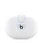 Beats Studio True Wireless Noise Cancelling Earbuds - Bluetooth / White Accessories > Audio > Headphones
