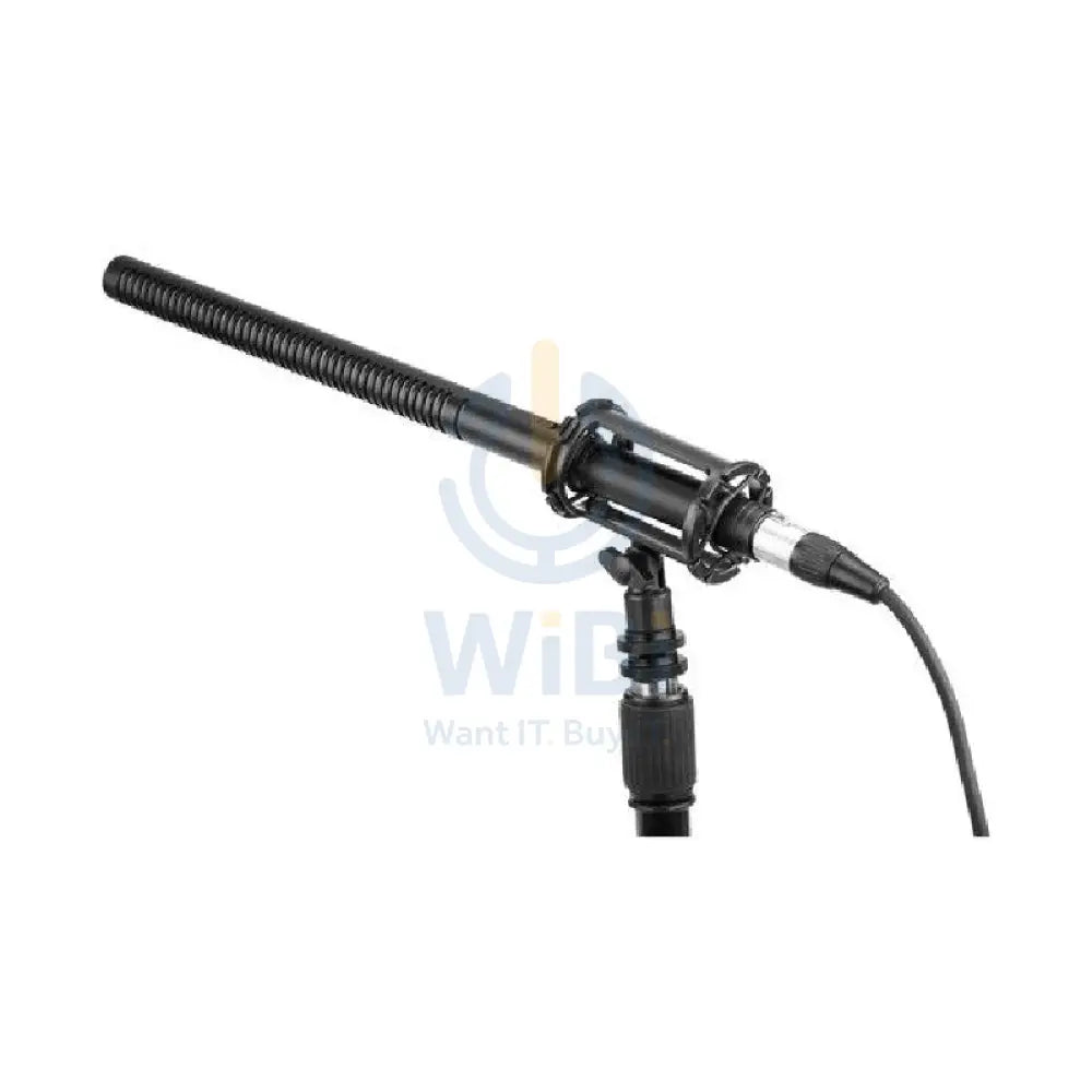 BOYA BY-BM6060L Professional Shotgun Microphone - 60Hz / 3-Pin XLR - Black Accessories > Audio > Microphone