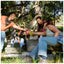 EcoFlow GLACIER Classic Portable Refrigerator - 35L
