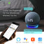 Gopeta 2-Gang Smart Wi-Fi Touch Switch with Glass Panel - Black