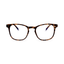 Barner Dalston Screenglass - Tortoise