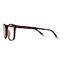 Barner Dalston Screenglass - Tortoise