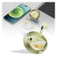 Disney QS-13 Bluetooth Wireless headphones - Winne Green Accessories > Audio > Headphones